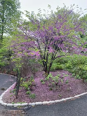 Rented by Sandra K. Pigott, LREB | media 26