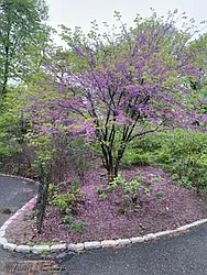 Rented by Sandra K. Pigott, LREB