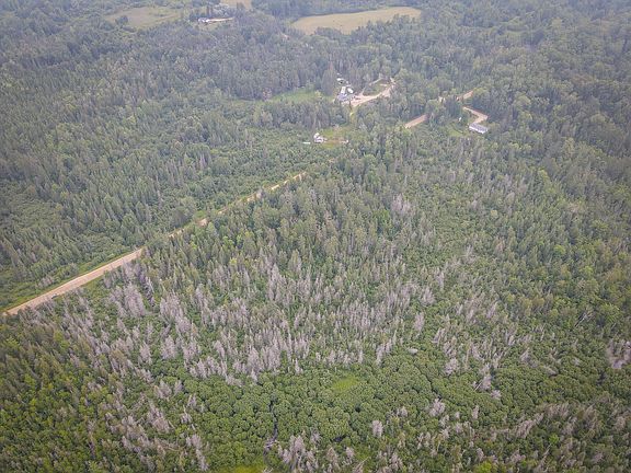 5th image of 17185 21 Mile Rd
