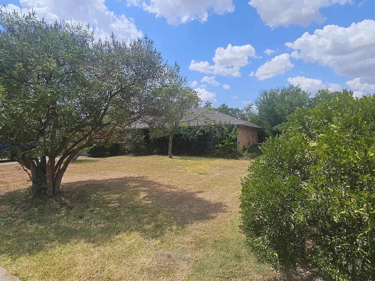 3 bed, 1471 sqft, $1,850 — Photo 2