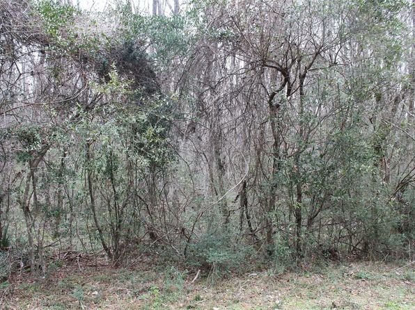 0 Peach Creek Dr, Conroe, TX 77303