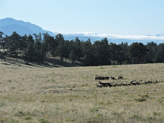 3rd image of 116 Sunset Crater View