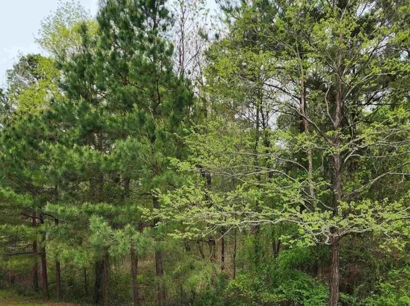 LOT 24 Evergreen, El Dorado, AR 71730