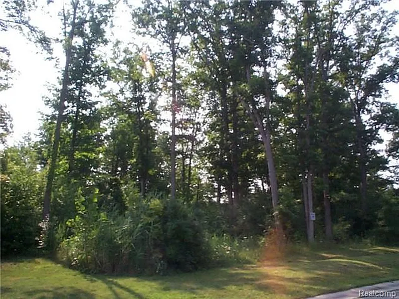 Thumbnail 12