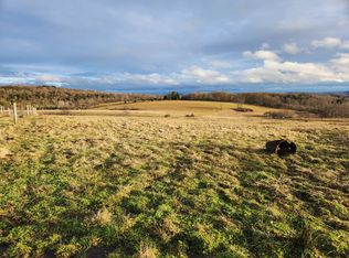 2010 Stillman Rd, West Edmeston, NY 13485