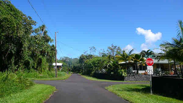 1st image of Opakapaka St Lot 1936