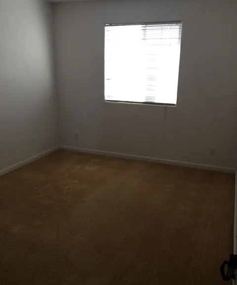 2328 S Fallbrook Dr — Photo 23