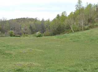 Short Coal Chute Rd, Elizabethton, TN 37643