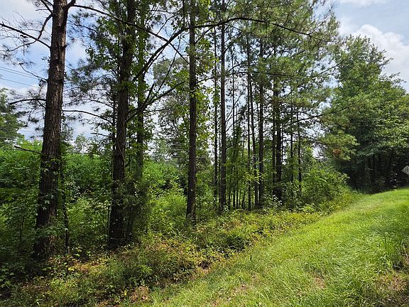 4th image of 7127 New Forsyth Rd