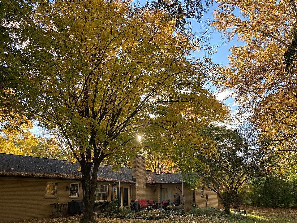 Wonderful and shady patio!