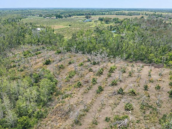 3rd image of 1163 SW Bryan Earnhardt Rd