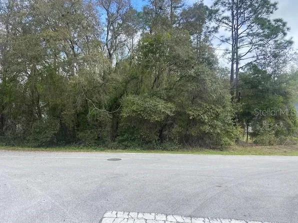 SW 188th Cir Lot 29, Dunnellon, FL 34432