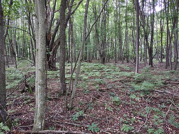 5th image of 8491 E Long Lake Rd
