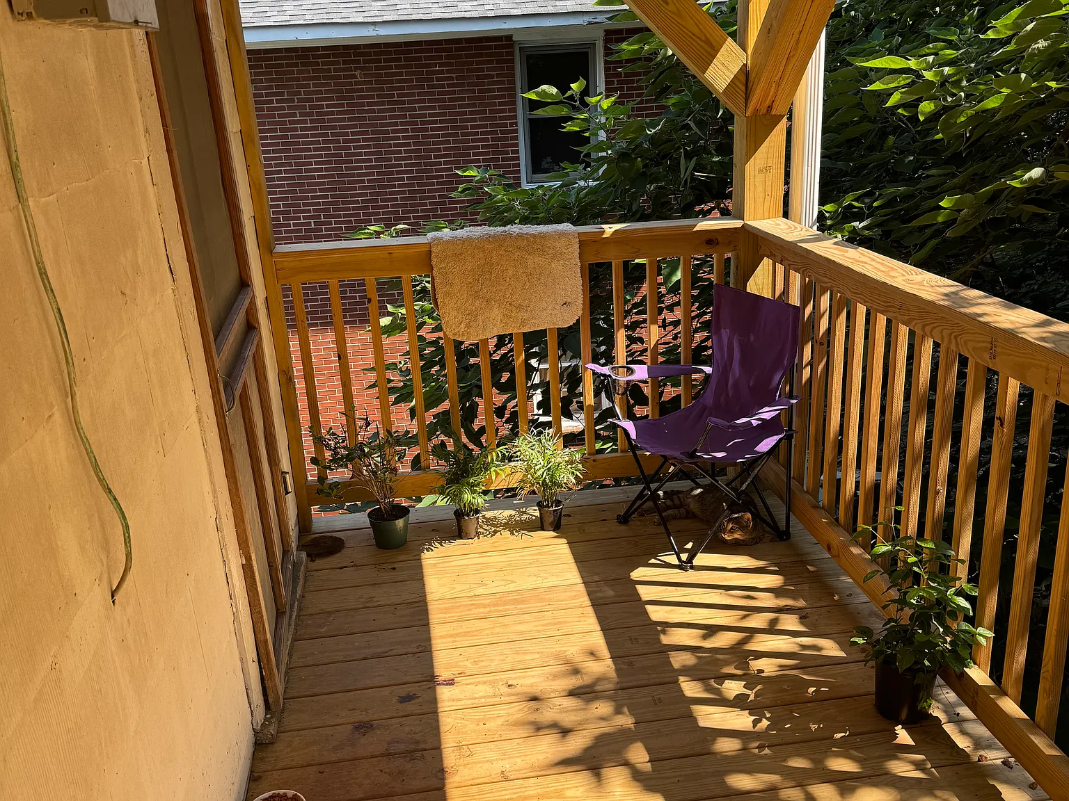 1 bed, 650 sqft, $946 — Photo 2