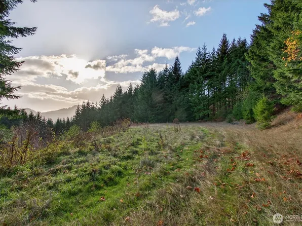 0 Knightsbridge Road, Amboy, WA 98603