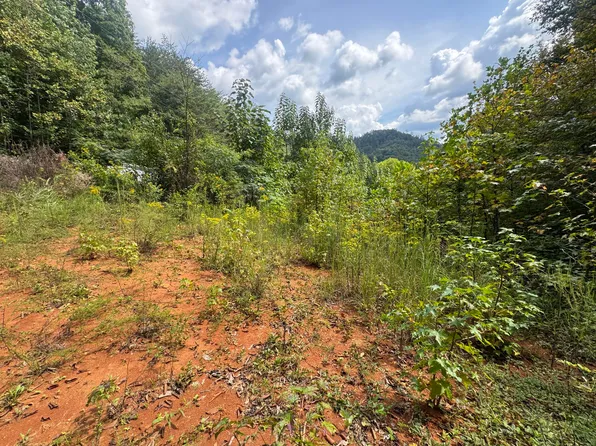 Black Feet Way, Del Rio, TN 37727