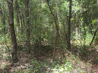 SW 156th Pl, Dunnellon, FL 34432