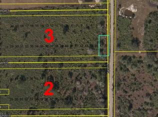 Lots 47 48 Palm Ave, Labelle, FL 33935