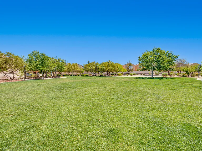 11123 Abbeyfield Rose Dr — Photo 29