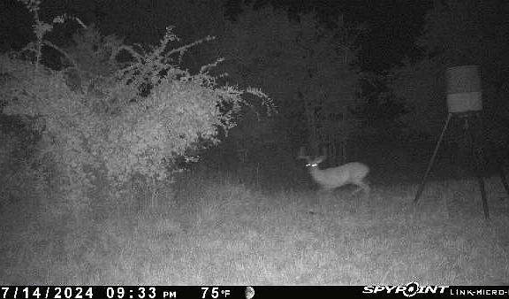 3rd image of Ti Valley Rd