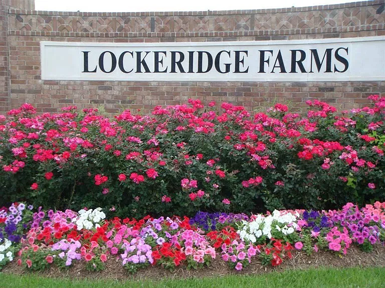 2822 Lockeridge Cove Dr — Photo 14