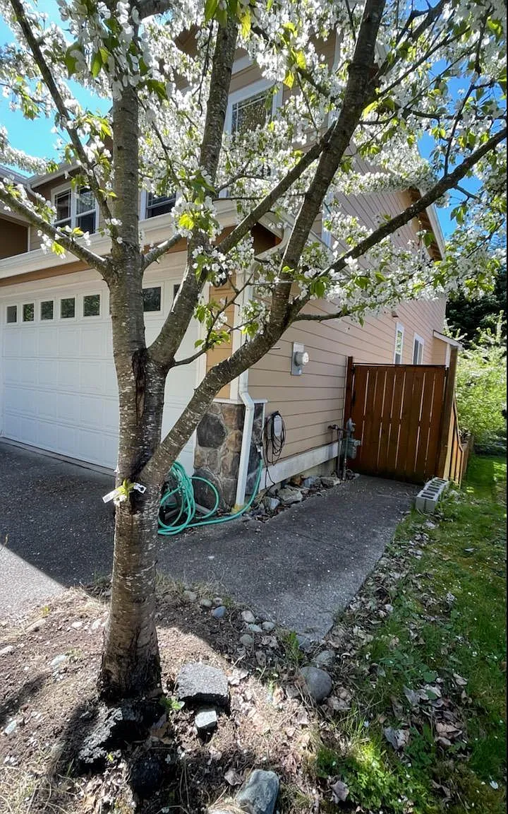 2 bed, 1700 sqft, $950 — Photo 3