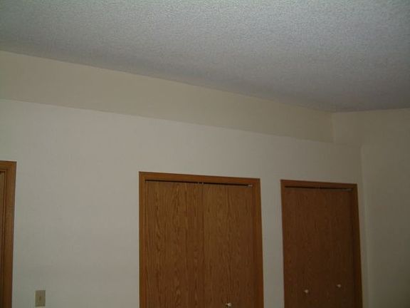 Master Bedroom - Overhead Space