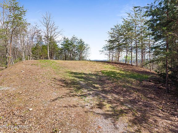 3rd image of 350 Bluff View Rd