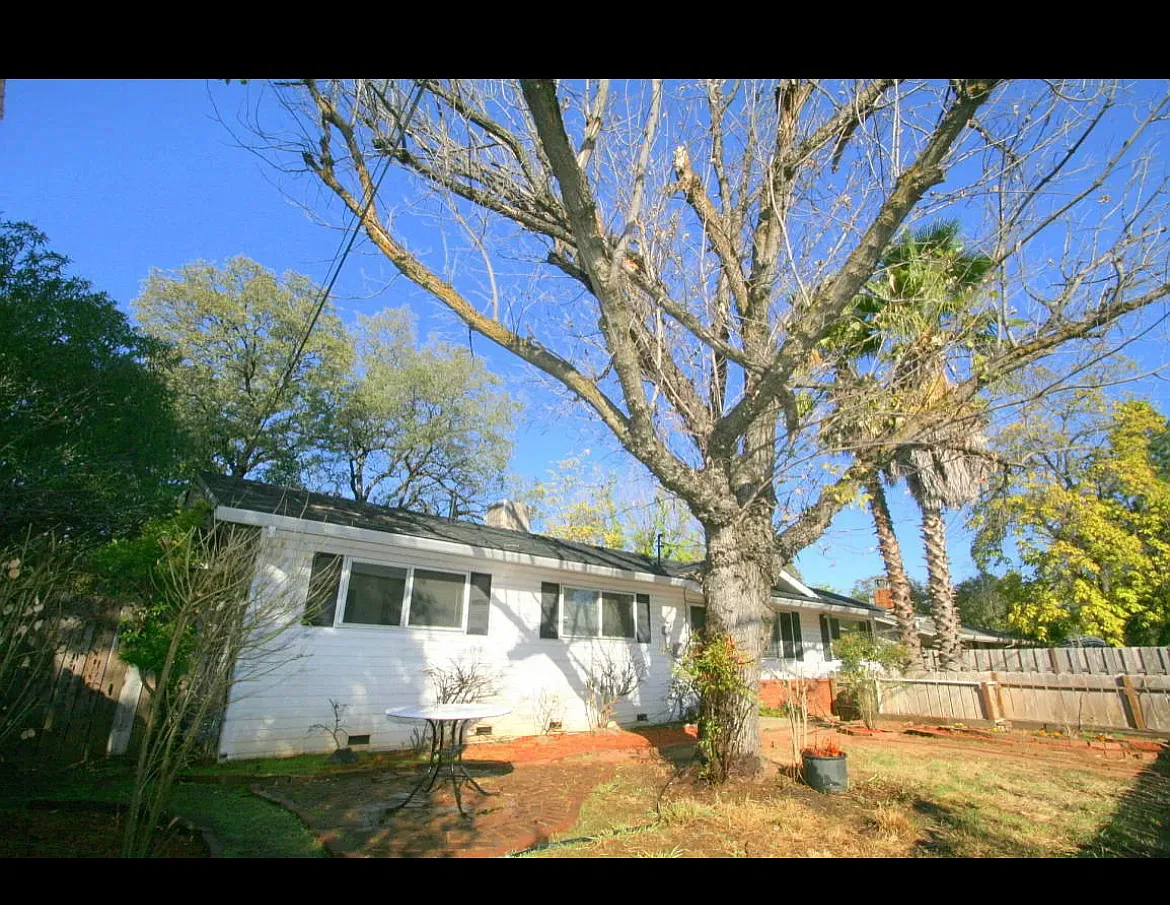 3 bed, 1.5 bath, 1456 sqft, $1,850 — Photo 2