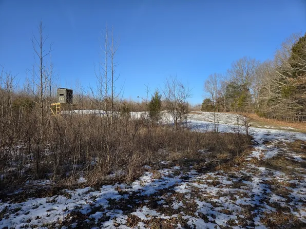 1395 Rock Springs Ln, Simpson, IL 62985