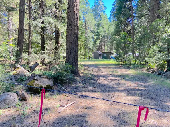 33117 Sites Rd, Shingletown, CA 96088