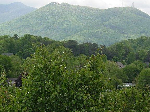 3rd image of 311 Shallow Creek Cir