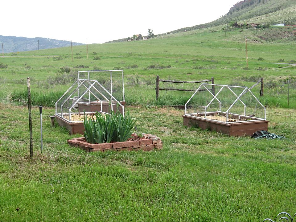 Critter-proof Garden Boxes