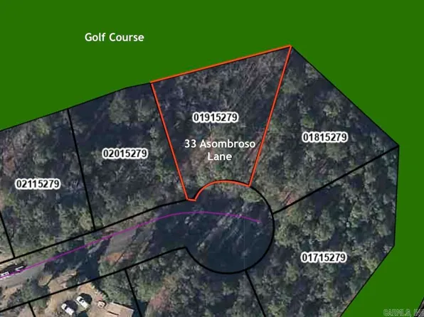33 Asombroso Ln, Hot Springs Village, AR 71909