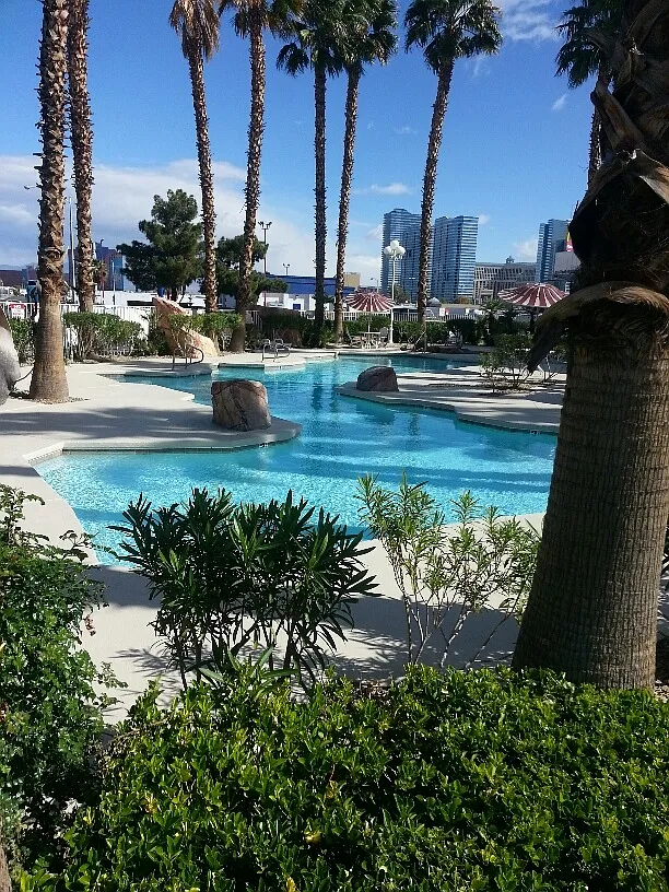 1 bed, 400 sqft, $1,335 — Photo 1