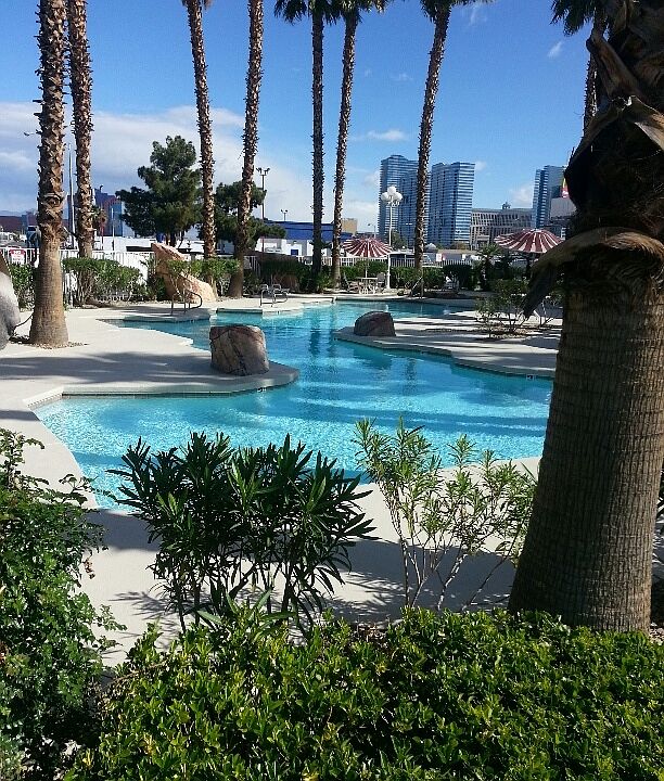 1st image of 3655 W Tropicana Ave #D2049