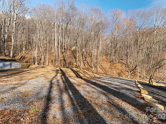 4th image of 481 Sugar Mountain Rd