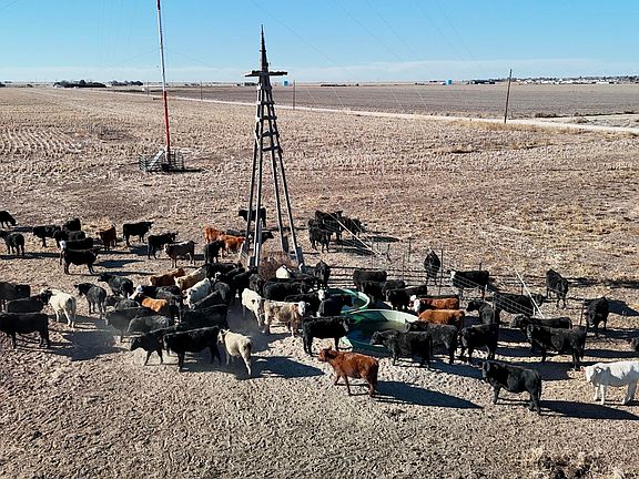 5th image of State Highway 207