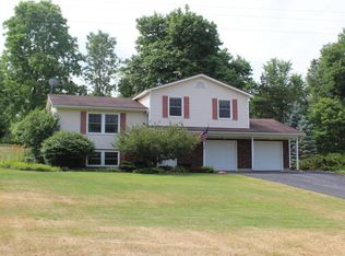 5665 Riverside Dr, Saranac, MI 48881