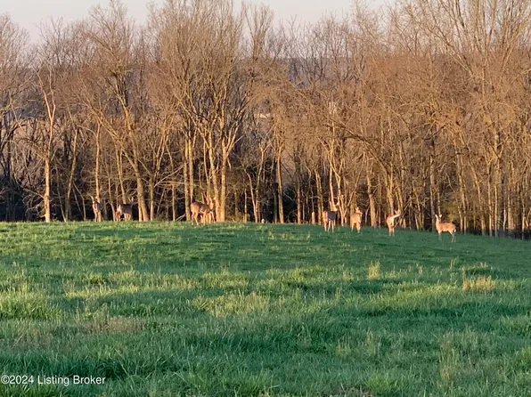 1 Tucker Ln, Springfield, KY 40069