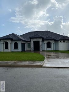 6064 Rusty Nail Dr, Brownsville, TX, 78526