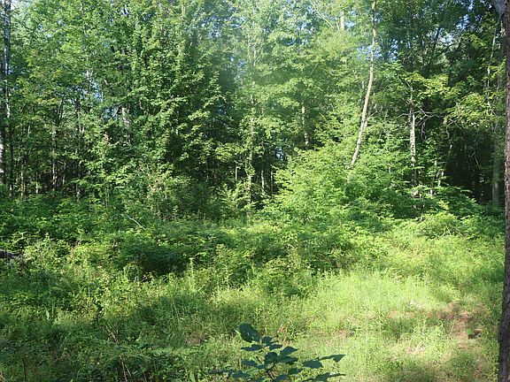 5th image of 3554 Shepherd Rd