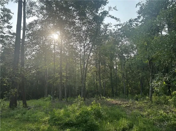 Lots 158 & 159 Bogue Falaya Dr, Covington, LA 70433