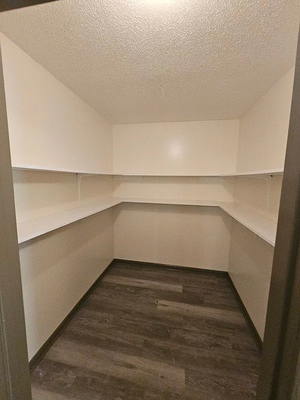 2 bed, 1.0 bath, 1000 sqft, $900 — Photo 3