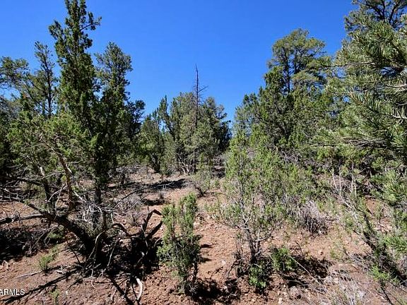 4th image of 1758 Eskimo Ln Lot 59A