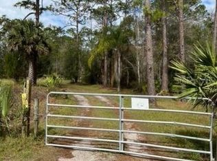 830 Doe Dr, Osteen, FL 32764