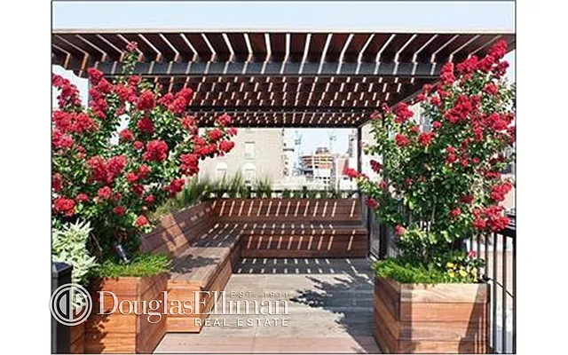 Rented by Douglas Elliman | media 36