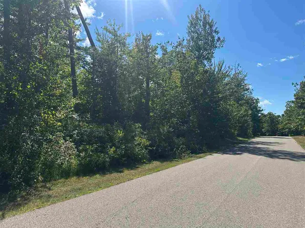 7049 Preserve Dr S, Bay Harbor, MI 49770