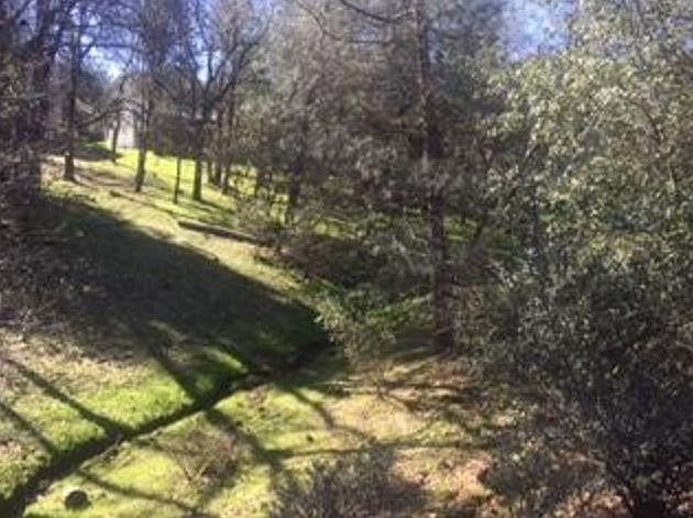 1st image of 13091 Jackson Mill Dr
