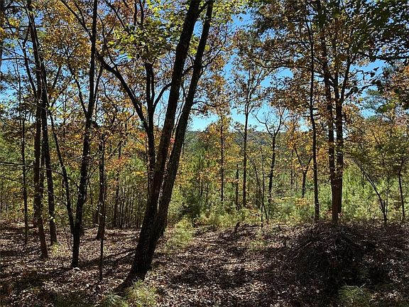 4th image of Township Road 3 Culp Lake Rd #3